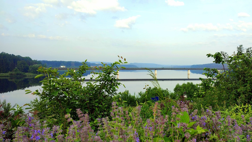 Im Hintergrund ist die Talsperre Zeulenroda zu sehen. Im Vordergrund befindet sich dichte Vegetation. Im Hintergrund ist die Talsperre Zeulenroda zu sehen. Im Vordergrund befindet sich dichte Vegetation.