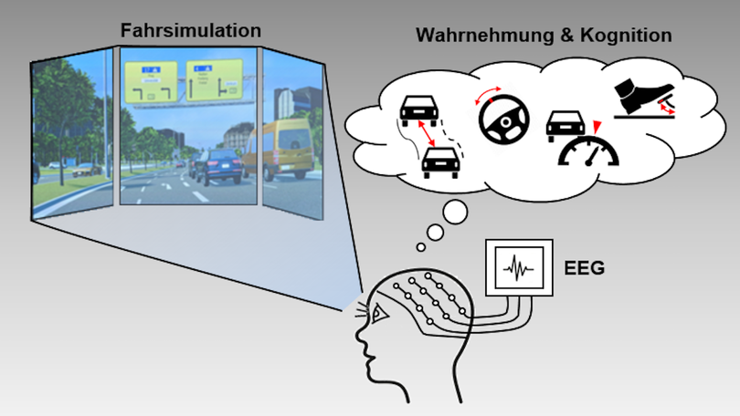 Visualisierung einer Fahrsimluation sowie der Wahrnehmung und Kognition Visualisierung einer Fahrsimluation sowie der Wahrnehmung und Kognition