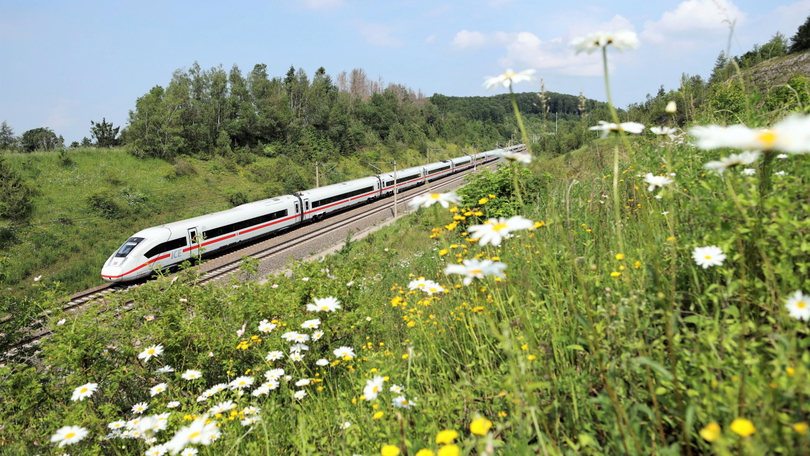 Ein Intercity-Express der Deutschen Bahn fährt durch eine hügelige grüne Landschaft. Im Vordergrund befindet sich ein Hügel, auf dem verschiedene Wildblumen blühen. Im näheren Hintergrund befinden sich Bäume und am Horizont ein Wald. Ein Intercity-Express der Deutschen Bahn fährt durch eine hügelige grüne Landschaft. Im Vordergrund befindet sich ein Hügel, auf dem verschiedene Wildblumen blühen. Im näheren Hintergrund befinden sich Bäume und am Horizont ein Wald.