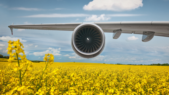 Ein Flugzeugflügel über einem Rapsfeld Ein Flugzeugflügel über einem Rapsfeld