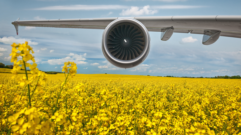 Flugzeug über einem Rapsfeld Flugzeug über einem Rapsfeld