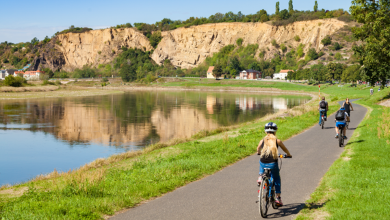 Radweg an der Elbe bei Diesbar-Seusslitz Radweg an der Elbe bei Diesbar-Seusslitz