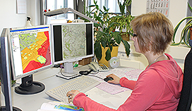 Frau am Computerarbeitsplatz © mlv sachsen-anhalt Frau am Computerarbeitsplatz © mlv sachsen-anhalt