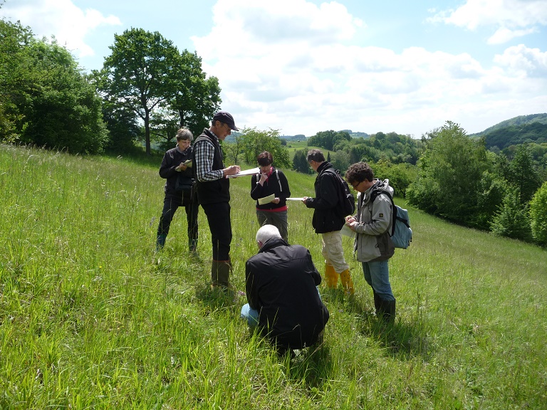 Ortstermin auf einer Wiese © Gabriele Fillbrandt Ortstermin auf einer Wiese © Gabriele Fillbrandt