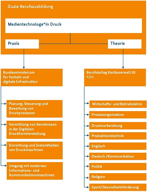 Ausbildungsinhalte Medientechnologin/Medientechnologe Druck Ausbildungsinhalte Medientechnologin/Medientechnologe Druck