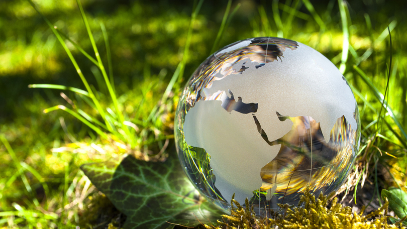 sphere of glass in grass sphere of glass in grass