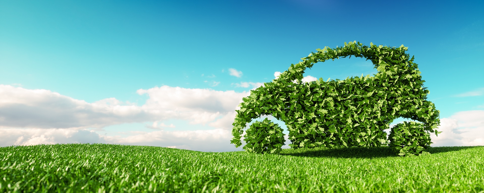 A car made out of leaves in front of a blue sky A car made out of leaves in front of a blue sky